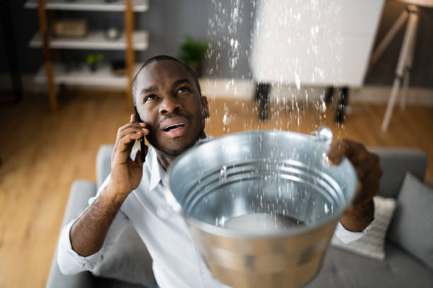 Best Flood damage cleanup  in Hickman, KY