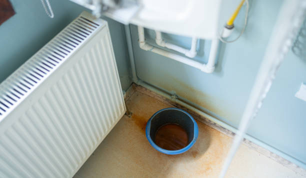 Best Professional water damage repair  in Hickman, KY