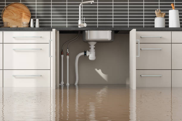 Best 24-hour water damage restoration  in Hickman, KY