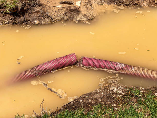 Best Emergency water damage restoration  in Hickman, KY