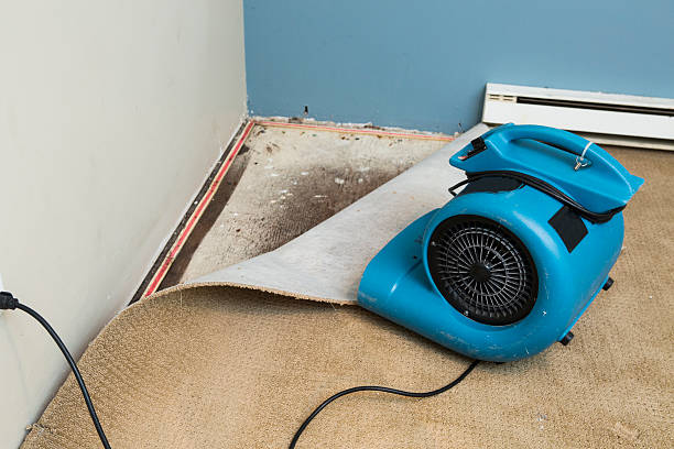 Best Water damage restoration near me  in Hickman, KY